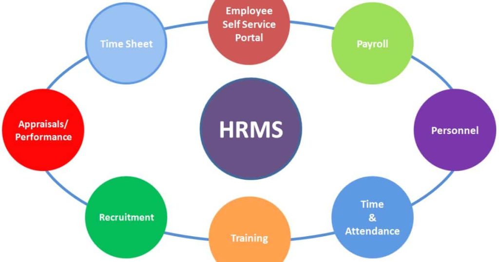 HRMS Globex Explained: Importance of HR Management Systems