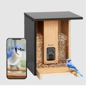 Bird Feeder Camera: A Must-Have For Bird Enthusiasts