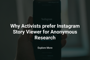 Why Activists Prefer IG Story Viewer for Anonymous Research?